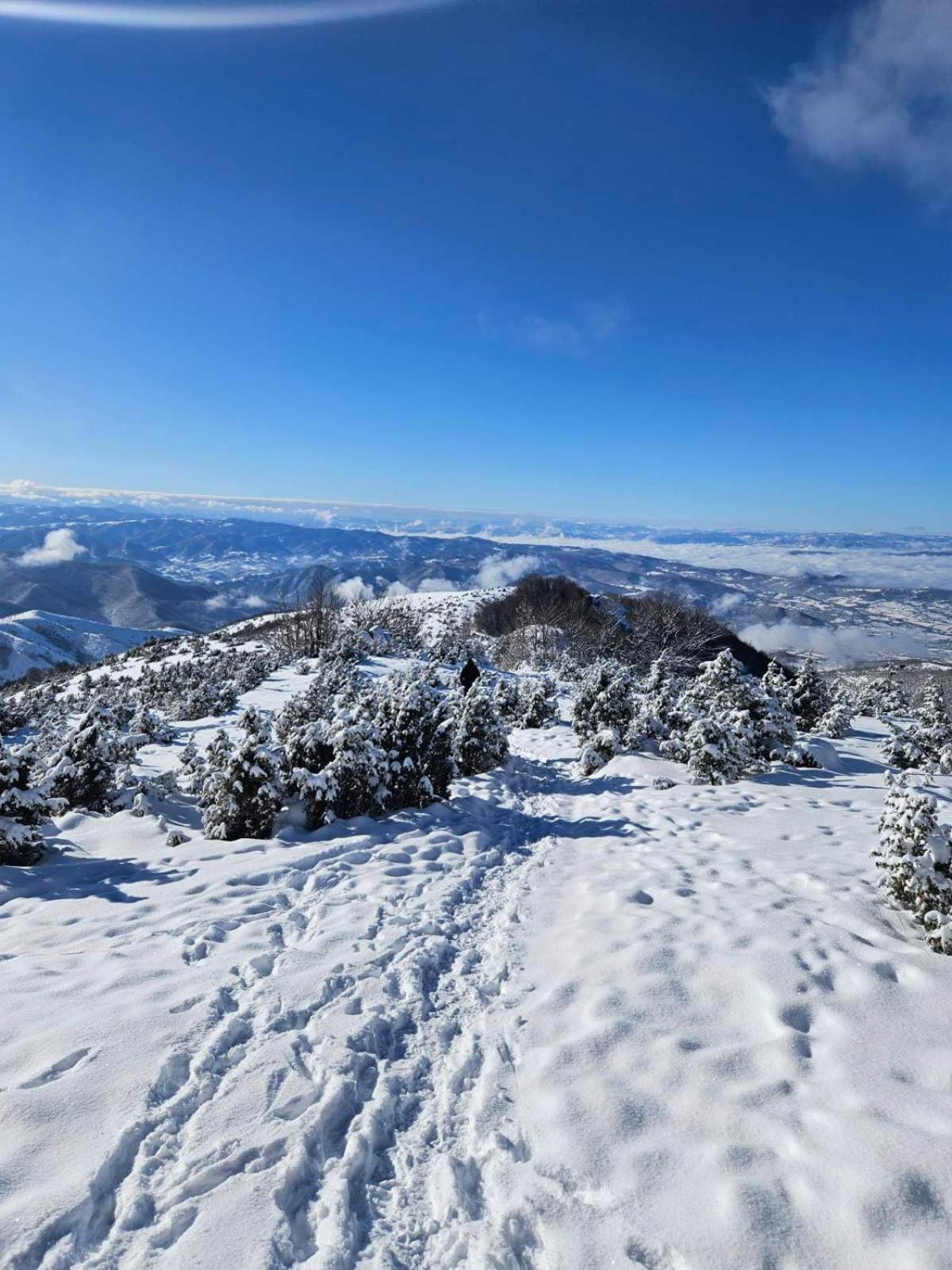 Apartmani Kraljevi Cardaci Kopaonik Exteriér fotografie